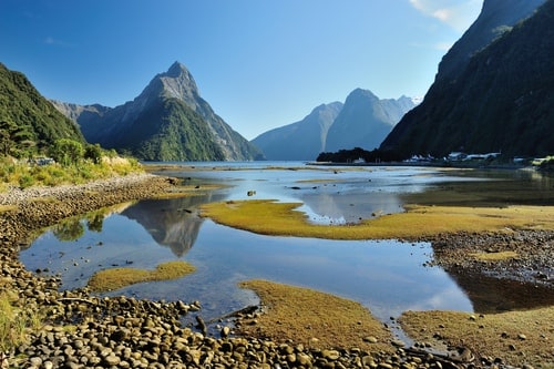 While traveling to New Zealand, please keep in mind some routine vaccines such as Hepatitis A, Hepatitis B, etc.